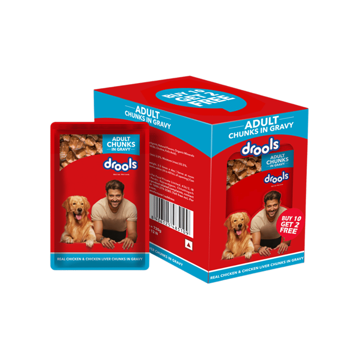 Drools Chicken & Liver in Gravy Adult Dog Wet Food – 12 x 60 g