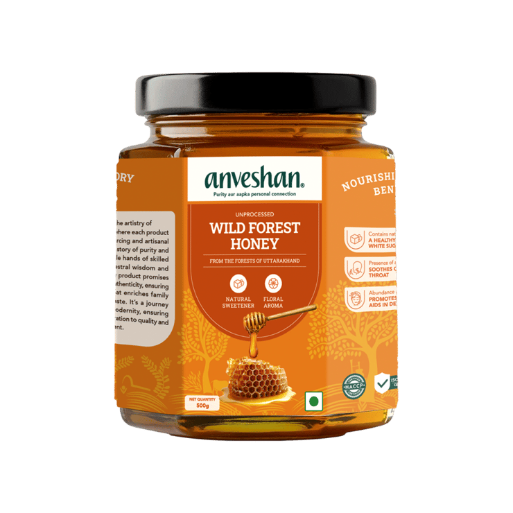 Anveshan Raw Wild Forest Honey – 500 g