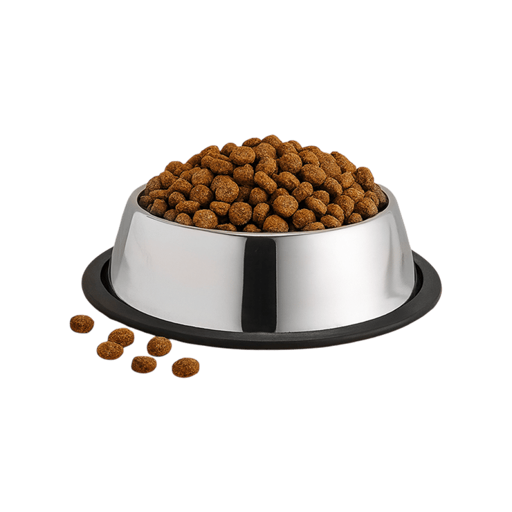 Wonderchef Ambrosia Pet Feeding Bowl (8″) – 1 unit