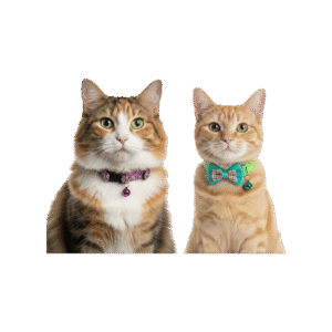 Nootie Kitten & Cat Collar (Colour May Vary) - 1 set