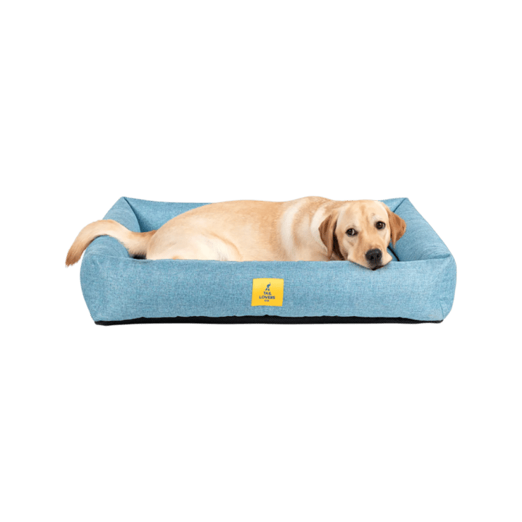 HUFT TLC Nesting Nook Dog Bed (Aqua Blue) - 1 unit