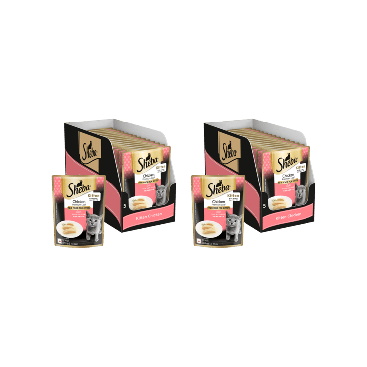Sheba Kitten Wet Kitten Food (Chicken Premium Loaf) - Pack of 2 - 2 x 980 g (14 x 70 g)