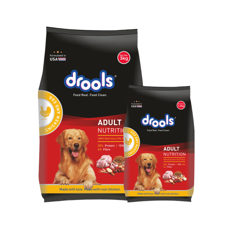 Drools Chicken & Egg Adult Dry Food - Free 1.2 kg - 3 kg + 1.2 kg