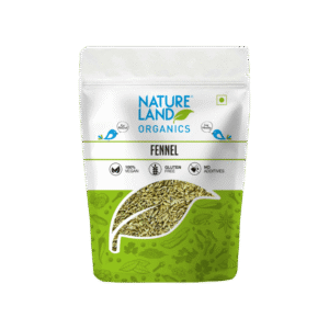 Natureland Fennel Organic Saunf Seeds - 100 g