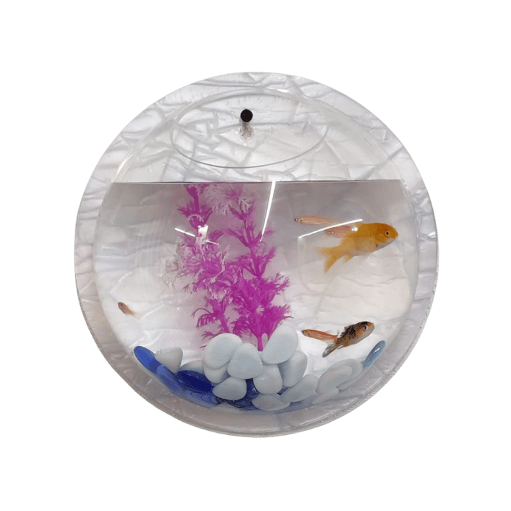 Petcrux Wall Aquarium (Transparent) - 1 unit