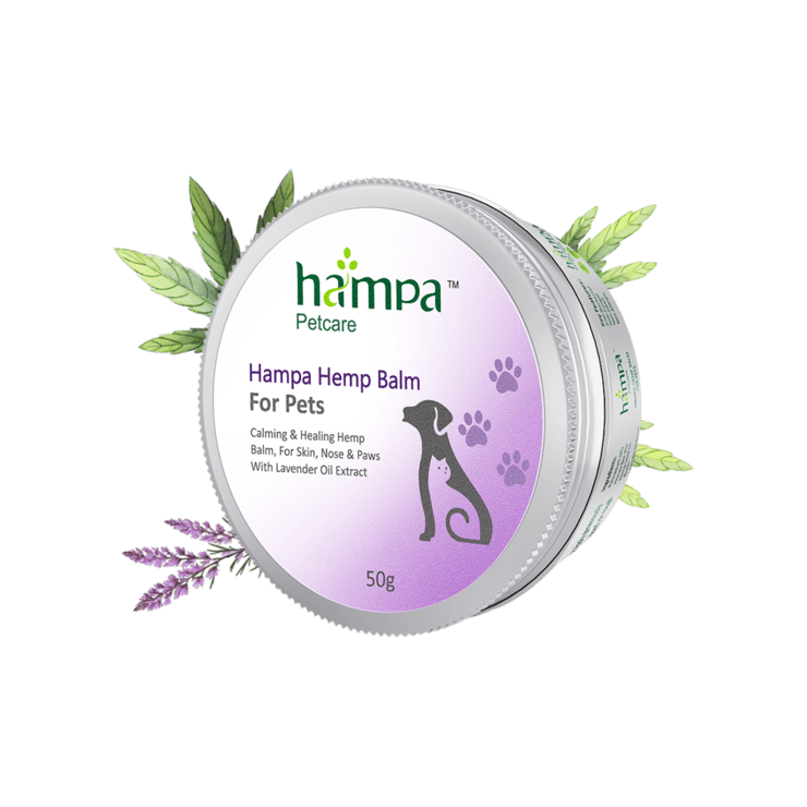 Hampa Hemp Pet Balm with Lavender Oil Extract - 50 g
