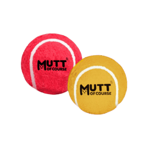 Mutt of Course Squeaky Ball Dog Toy (Multicolour) - 2 units