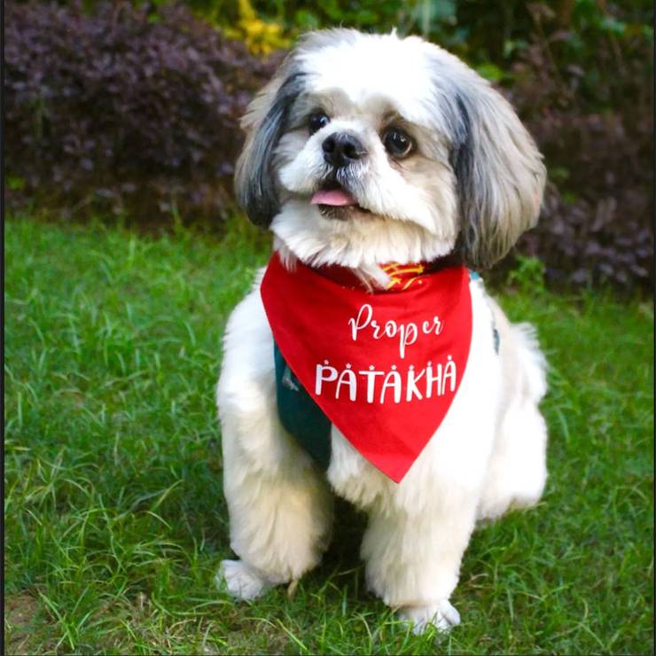 For The Fur Kids Proper Patakha Festive Dog Bandana for Pets - 1 piece