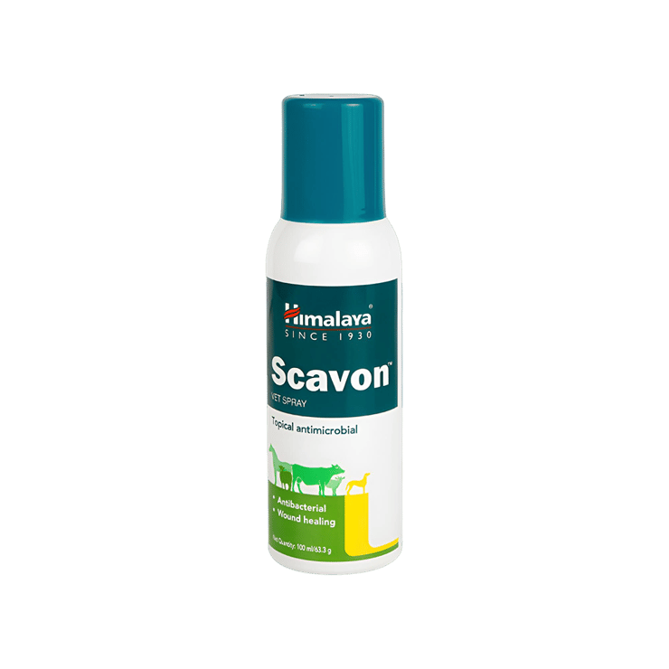 Himalaya Pet Scavon Pet Spray - 100 ml