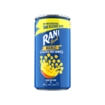 Rani Float Mango Fruit Juice