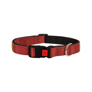 BearHugs Essential Dog Collar Padded with Lock - 1 unit