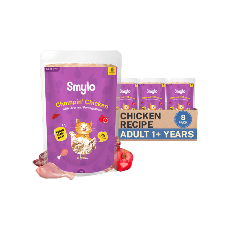 Smylo Adult Chompin' Chicken Wet Cat Food - 560 g