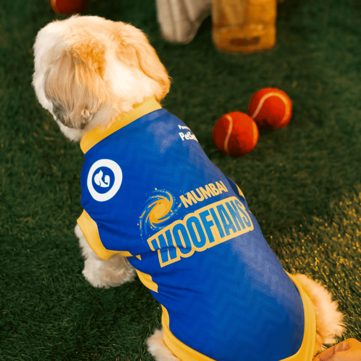 Pet Set Go Cricket Fan Dog T-Shirt (Blue) - 1 piece