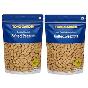 Tong Garden Imported 370Gm Salted Peanuts | Roasted, Not Fried | Low Cholesterol | Supports Weight Loss | Helps Prevent Oxidative Stress | Healthy & Crunchy Snack (Pack of 2)