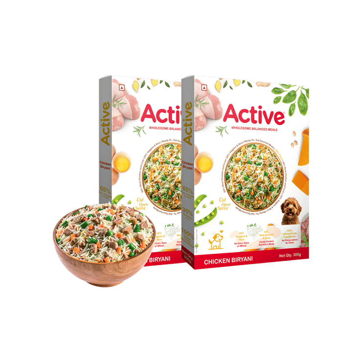 Active Fresh Chicken Biryani Dog Wet Food – 2 x 300 g