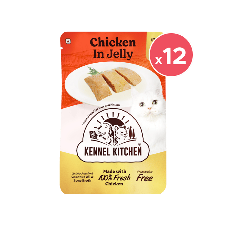 Kennel Kitchen Chicken in Jelly Wet Cat Food (For All Ages) – 12 x 80 g