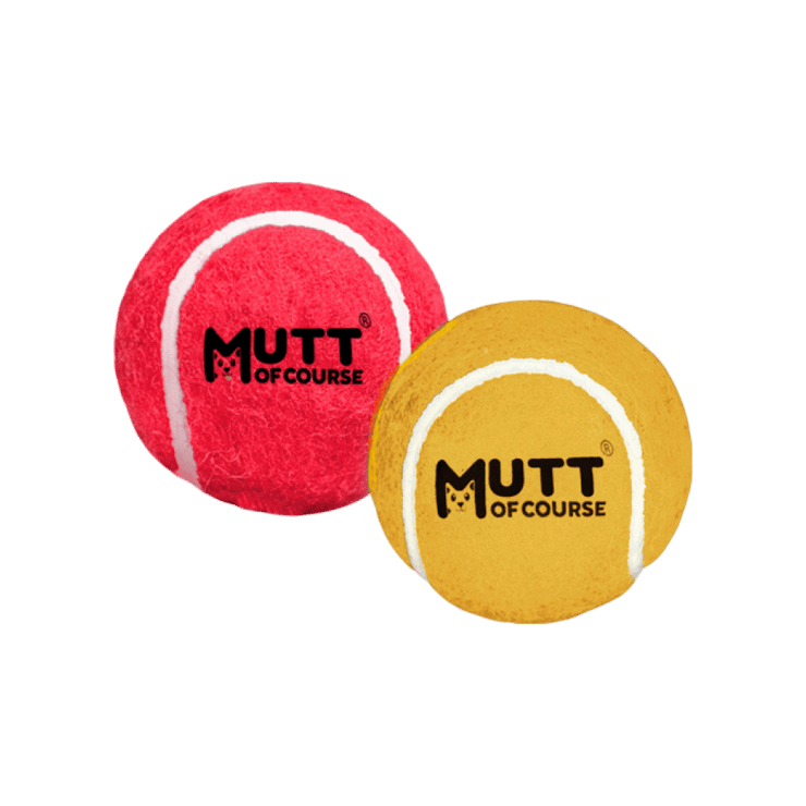Mutt of Course Squeaky Ball Dog Toy (Multicolour) – 2 units