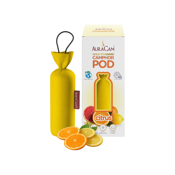 AuraCam Gold Standard Camphor Pod/Cone (Citrus) – 60 g