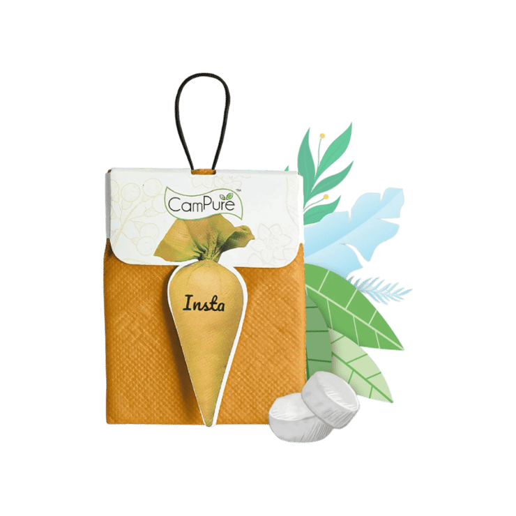 CamPure Insta Cone Sandalwood Air Freshener (Sandalwood) – 30 g