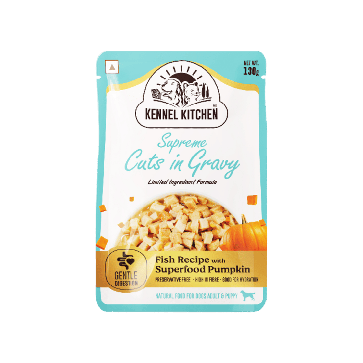 Kennel Kitchen Fish Recipe with Pumpkin Dog Wet Food – Supreme Cuts in Gravy – 100 g