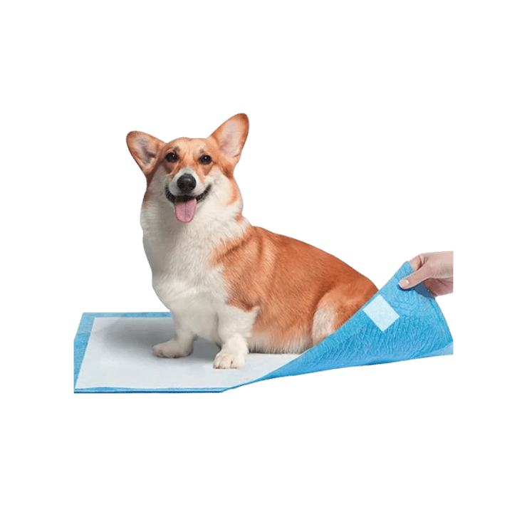 Patch & Marshall Pet Pee Pad With Adhesive Floor – 1 pack (20 pieces)