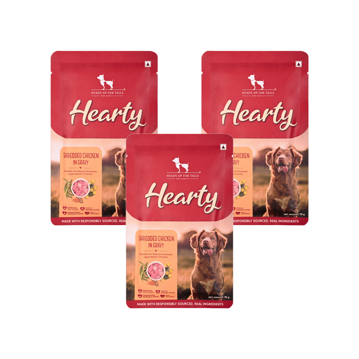 HUFT Hearty Chicken & Pumpkin Dog Wet Food – Pack of 3 – 3 x 70 g