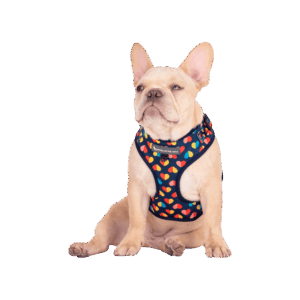 HUFT Blooming Days Adjustable Dog Harness (Navy) - 1 unit