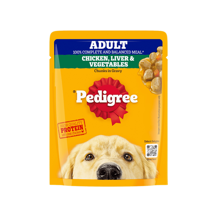Pedigree Adult Dog Wet Food -Grilled Liver Chunks Flavour in Gravy with Vegetables – 70 g
