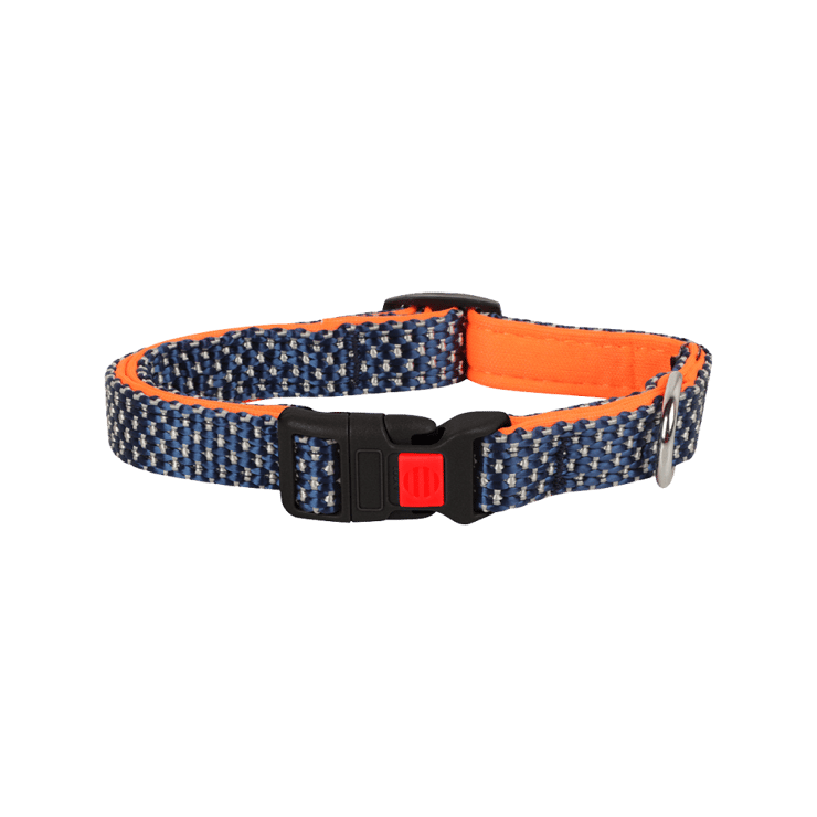 BearHugs Essential Dog Collar Padded with Lock (Black, Orange) – 1 unit