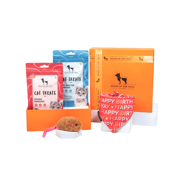 HUFT Birthday Special Pet Gift Box For Cat – 1 pack (4 pieces)