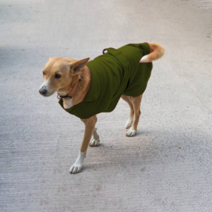 Mutt of Course Community Dogs Jacket (Green) - 1 unit