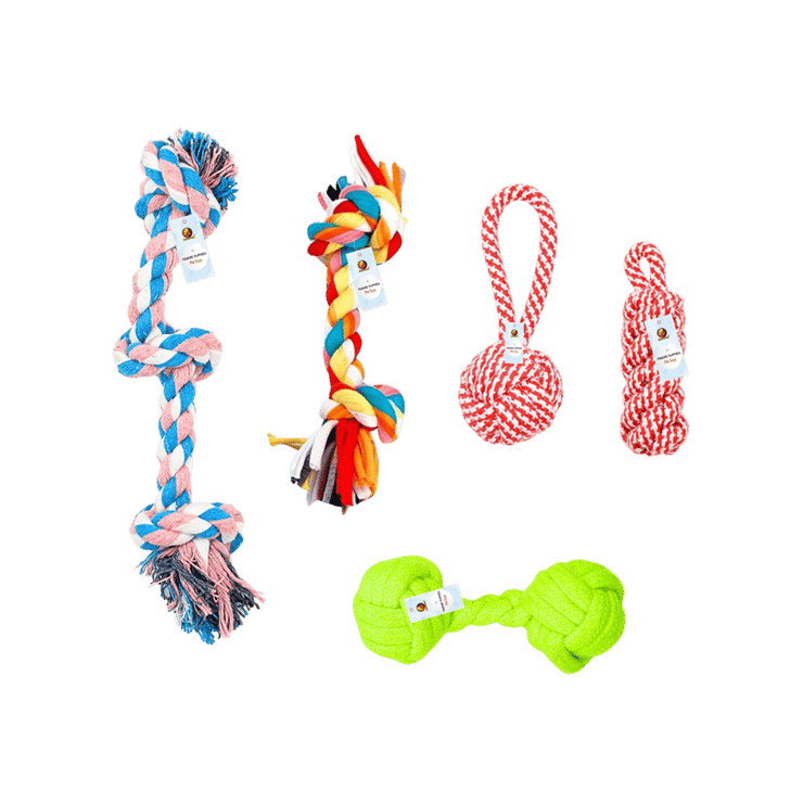 Foodie Puppies Cotton Rope Dog Chew Toy Set – For Small to Medium Dogs (Multicolor) – 5 pieces