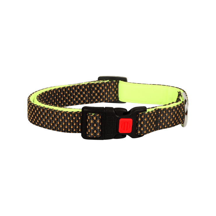 BearHugs Essential Dog Collar Padded with Lock (Black, Green) – 1 unit