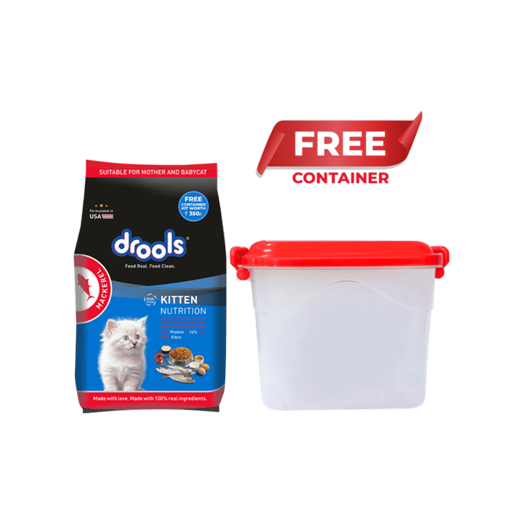Drools Mackerel Kitten Dry Kitten Food – With Free Container – 1 kg