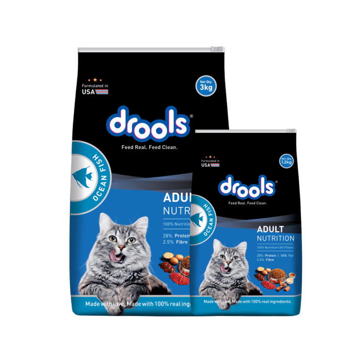 Drools Ocean Fish Dry Cat Food Adult, +1 year – Free 1.2 kg – 3 kg + 1.2 kg