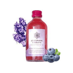 Atmosphere Studio Blueberry Lavender Kombucha - 210 ml