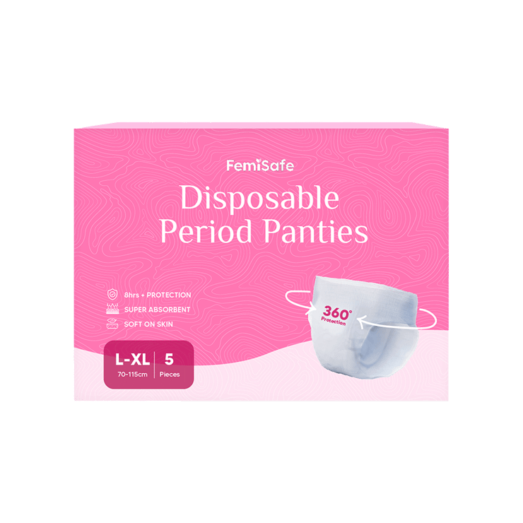 FemiSafe Period Panty – 1 pack (5 pieces)