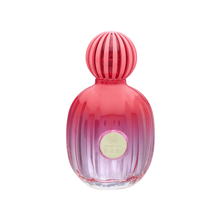 Banderas Eau de Parfum (The Icon) – 100 ml