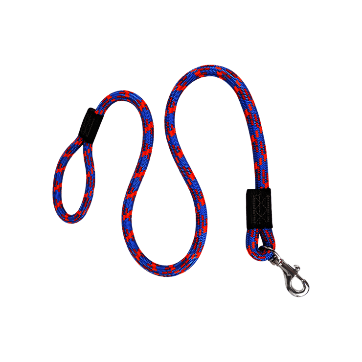 BearHugs Essential Reflective Rope Dog Leash (Royal Blue) – 1 unit