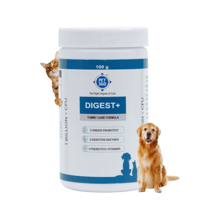 PET360 DIGEST+ Tummy Care Formula Supplement for Dogs & Cats – 100 g