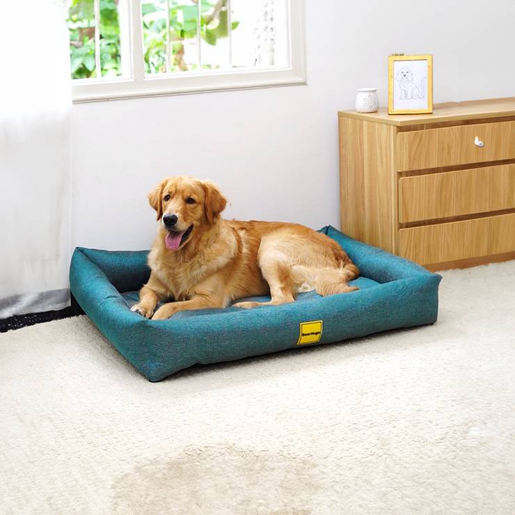 BearHugs Lounger Dog Bed – M Size (Green) – 1 unit