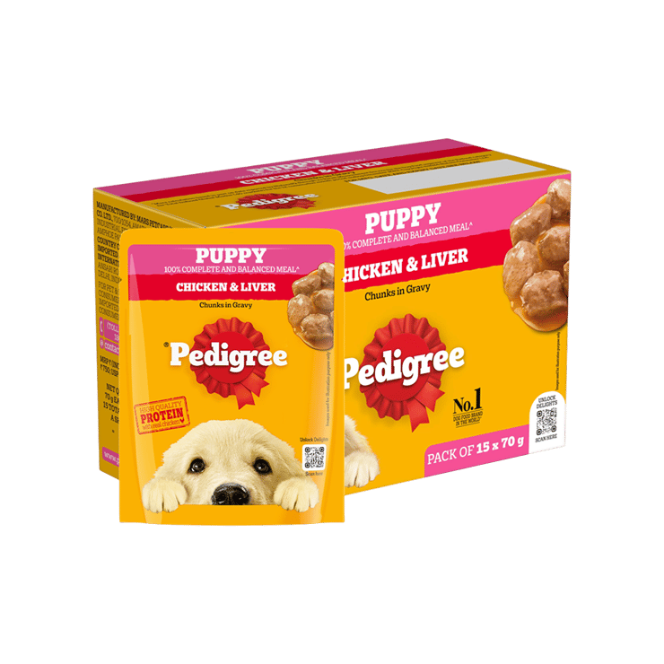 Pedigree Puppy Wet Food (Chicken Chunks in Gravy) – 15 x 70 g
