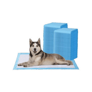 AMORITE Premium Pee Pad for Dogs & Cats (60 x 90 cm) (Light Blue) - 25 pieces