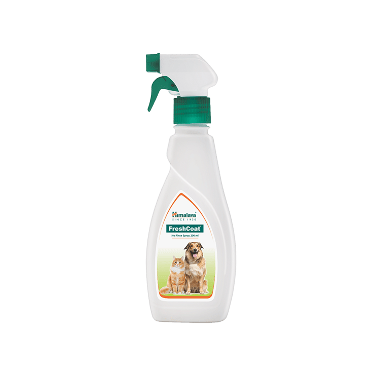 Himalaya Fresh Coat No Rinse Pet Spray – 200 ml