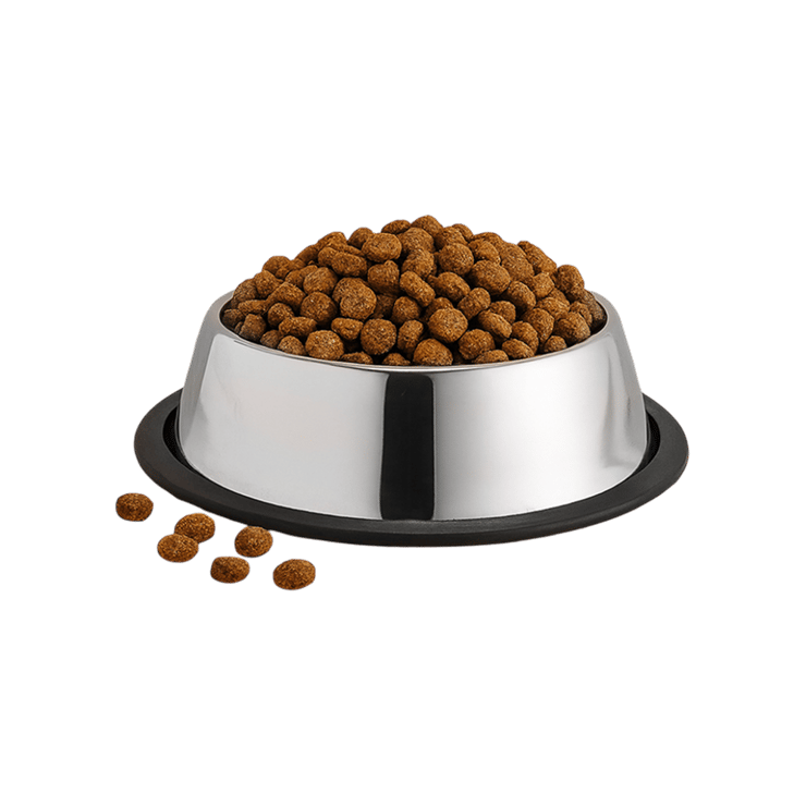 Wonderchef Ambrosia Stainless Steel Pet Feeding Bowl (6″) – 1 unit