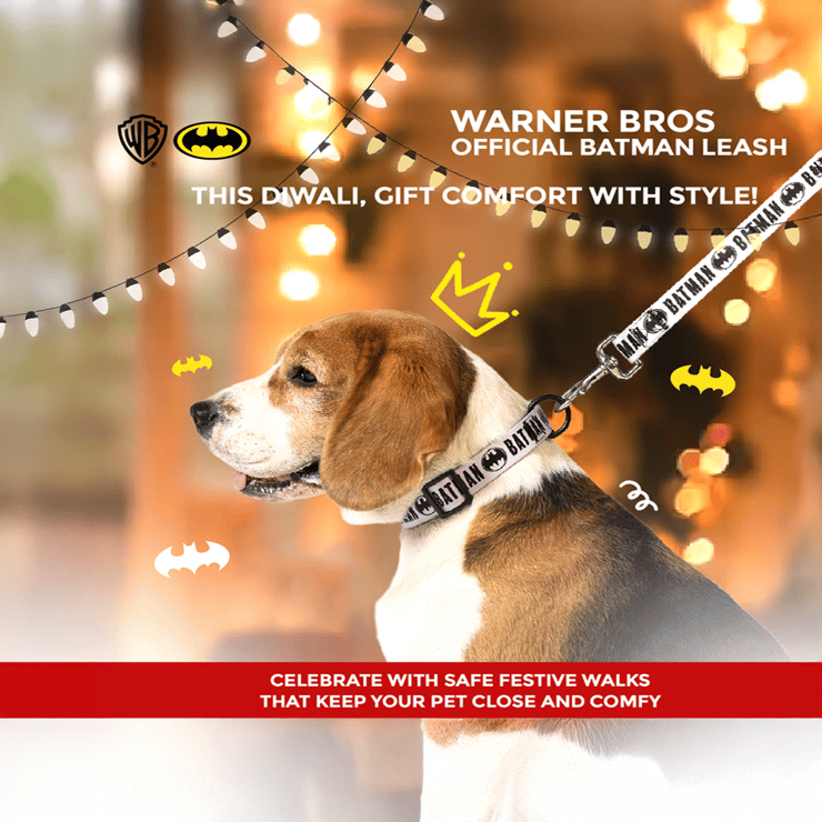 Warner Bros. Official Batman Dog Leash (Black) – 1 unit