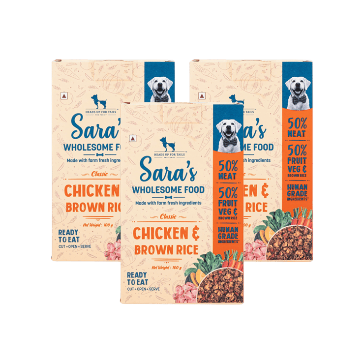 HUFT Sara’s Wholesome Classic Chicken and Brown Rice Dog Wet Food – Pack of 3 – 3 x 100 g